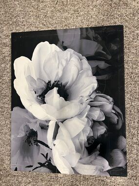 Monochrome Black And White Peonies Floral Wall Art Canvas 16”x20”